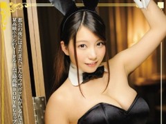 BF-511ҰŖ|BUNNY NIGHTѥGå Ұ