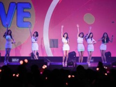 Apink˳ĸСˡ ȡַۡ˿