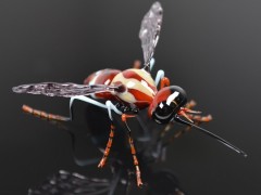 玻璃昆虫雕塑栩栩如生 虫子玻璃雕塑十分逼真真假难辨